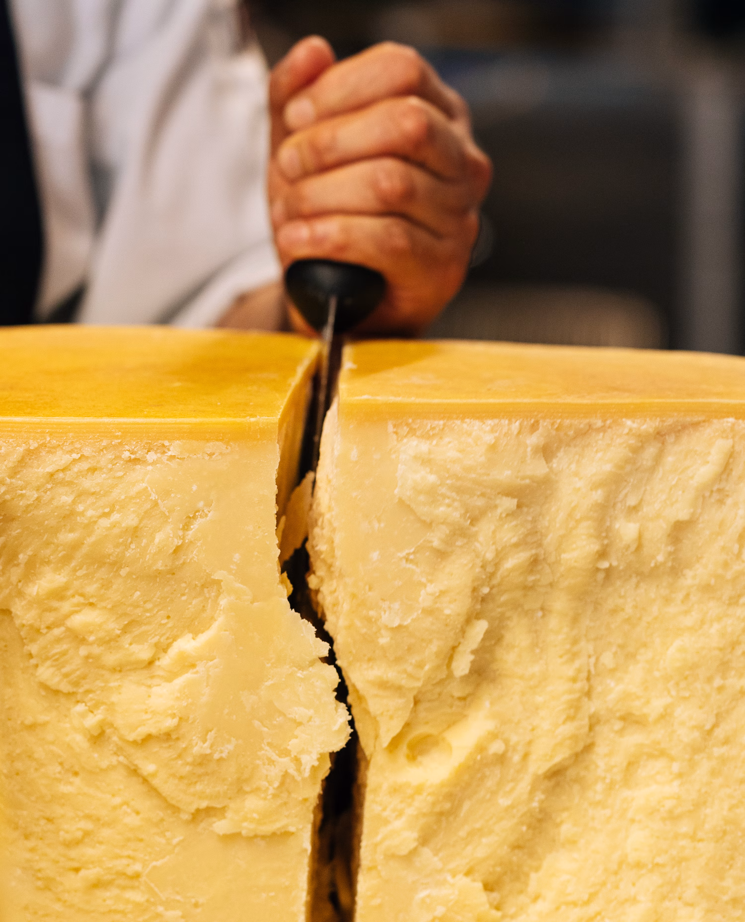 Parmigiano reggiano tile