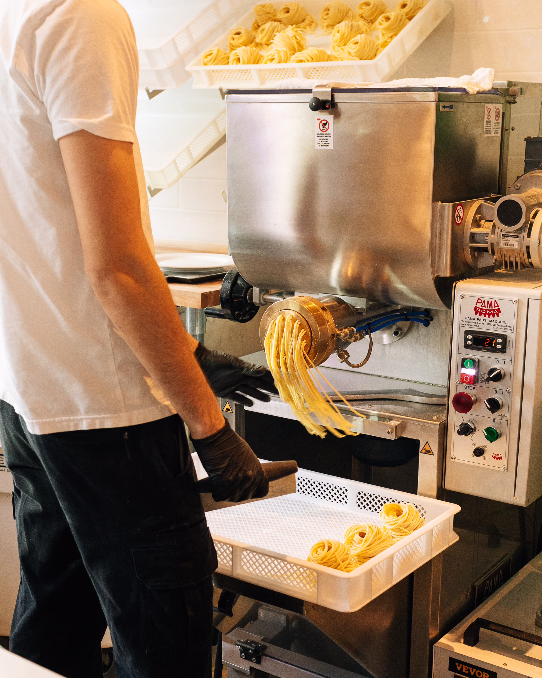 Types of Italian Pasta: A Field Guide